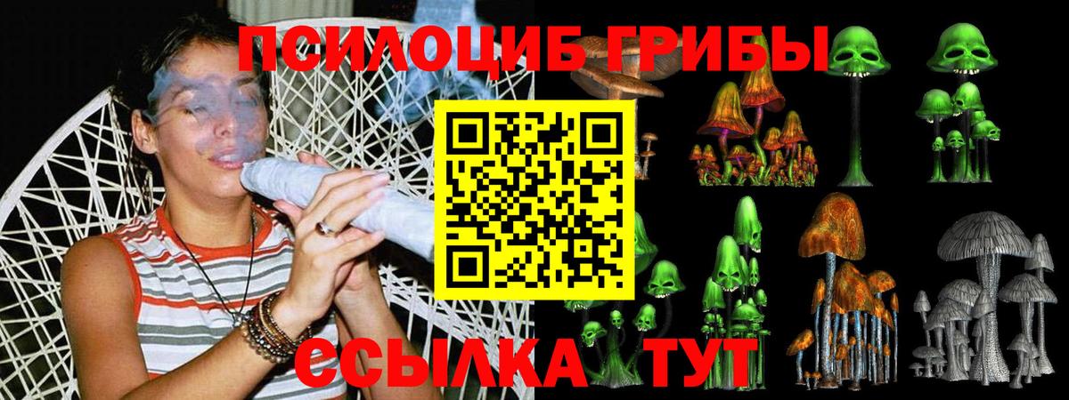 Галлюциногенные грибы мухоморы Северобайкальск
