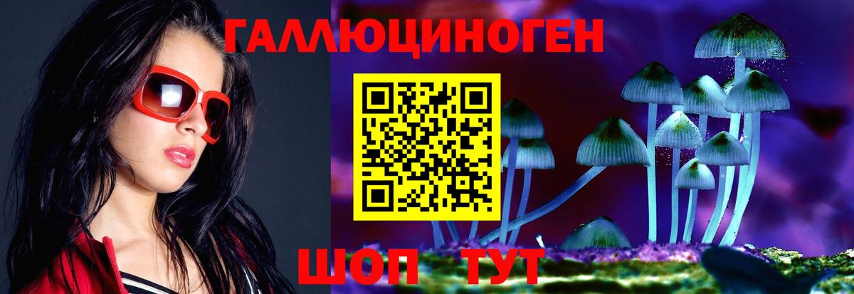 Галлюциногенные грибы мухоморы  Галлюциногенные грибы мицелий  Вход с VPN  Северобайкальск 